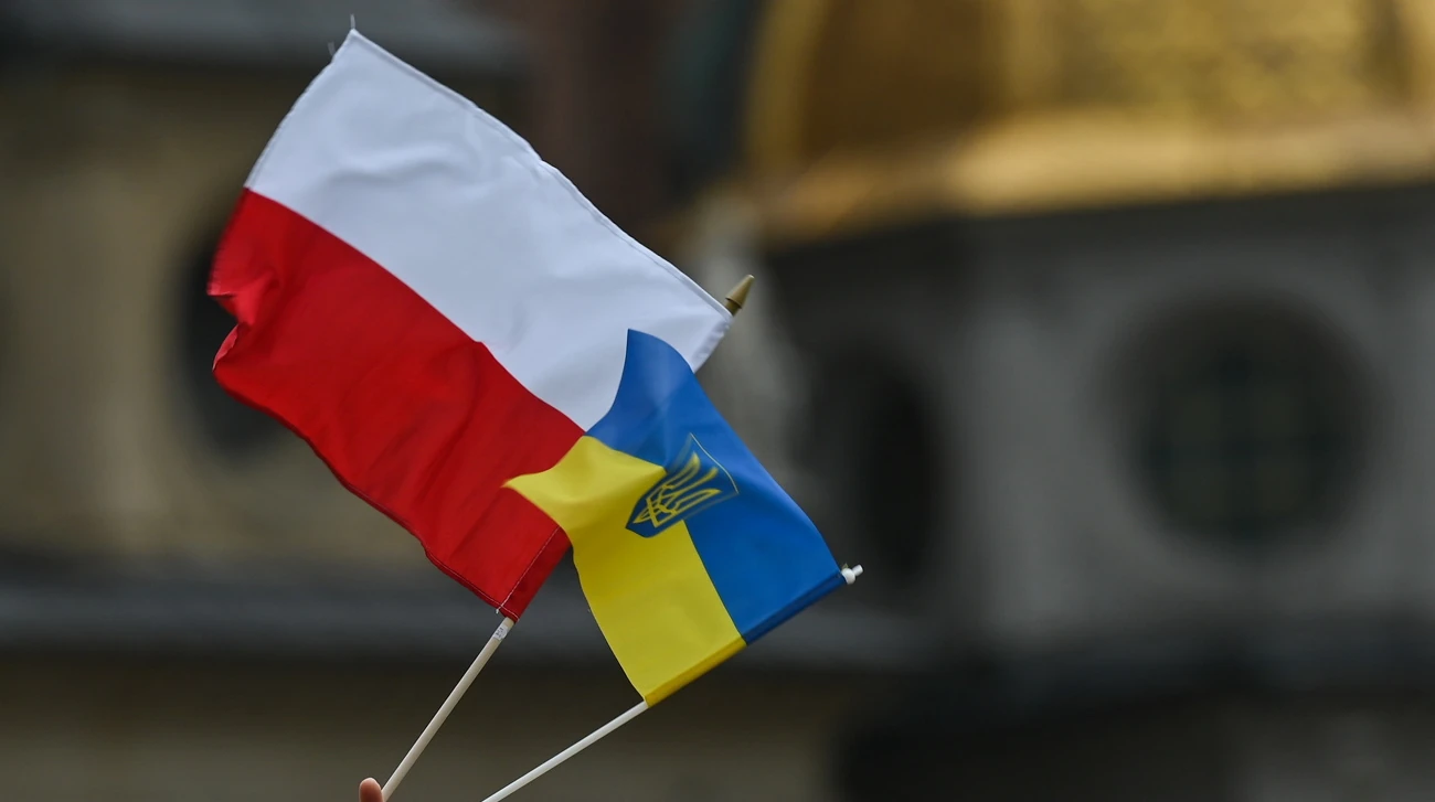 Опитування IBRiS і пропозиція партії «Право і справедливість» щодо українських чоловіків у Польщі